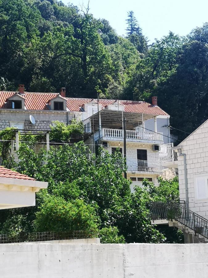 Apartment House Of Artichoke With Amazing Sea View, Dubrovnik Mokošica Екстериор снимка