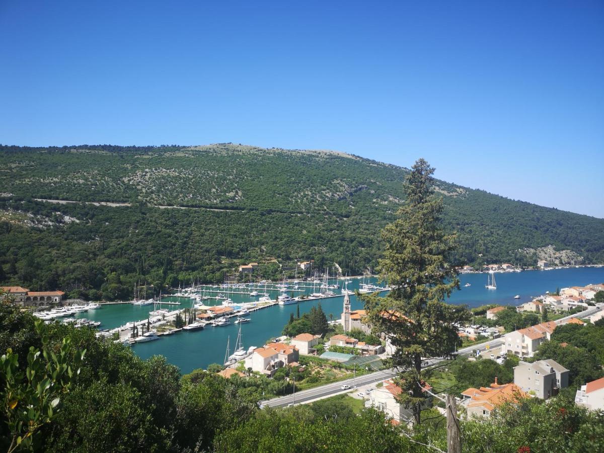 Apartment House Of Artichoke With Amazing Sea View, Dubrovnik Mokošica Екстериор снимка
